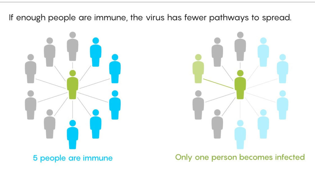 herd immunity graphic