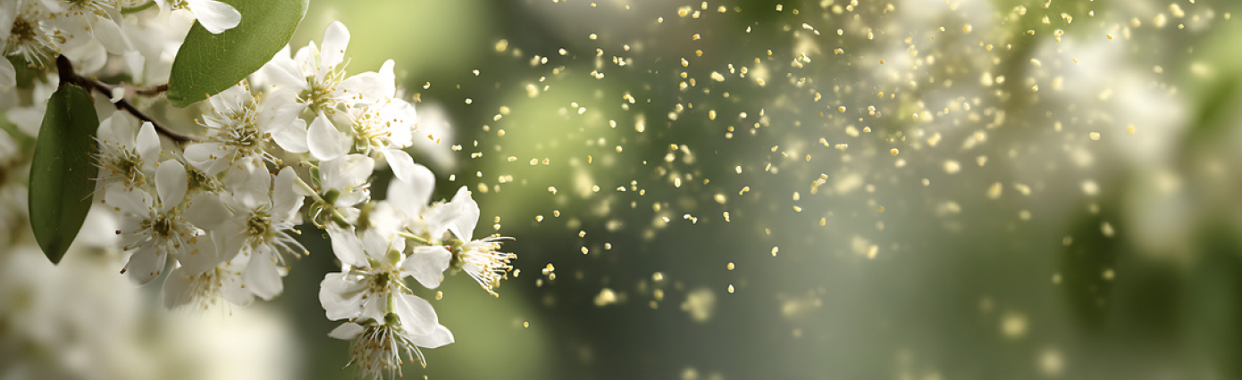 Community News – Blooming Health:Santa Barbara’s Allergy Season